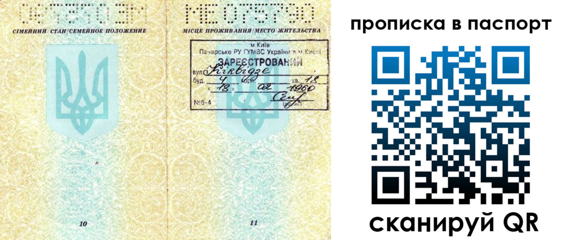 прописка паспорт в Наволоках